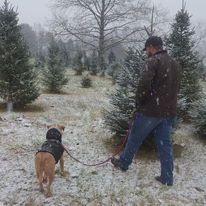 Meet your Posher, Nick